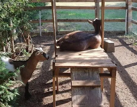 Privat bolig Loft La Pommeraie *