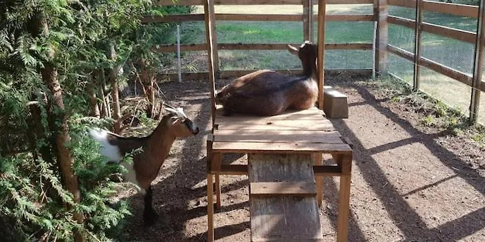 Rum i privatbostad Loft La Pommeraie *