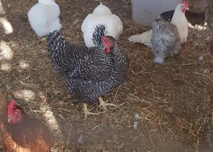 Loft La Pommeraie Rum i privatbostad Nogent (Haute-Marne)